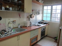 Mar Thoma Mansions (D12), Apartment #68930322